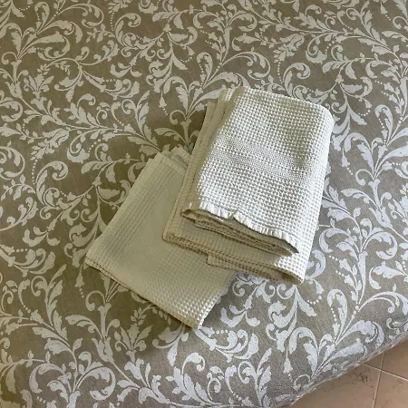Con Ingresso Indipendente Penzion Ogliastro Cilento