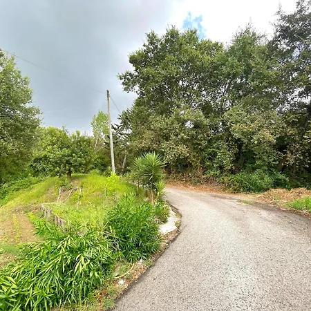 Con Ingresso Indipendente Ogliastro Cilento
